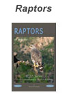 Raptors