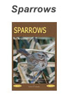 Sparrows